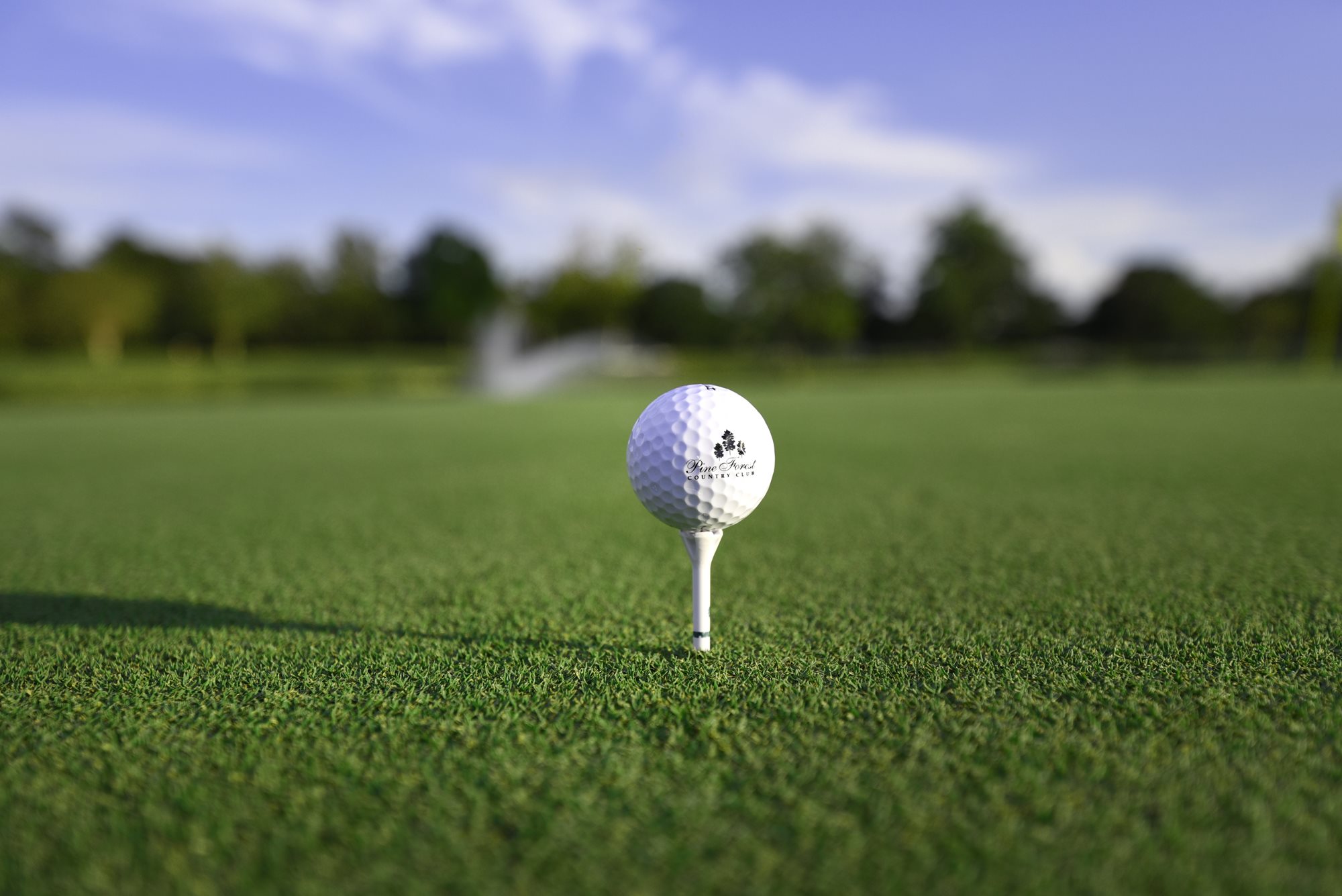 houston country club jobs